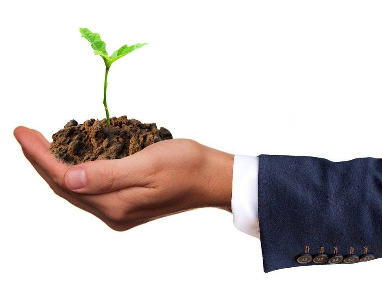 Les meilleures pratiques pour investir de manière responsable dans des entreprises qui respectent des critères sociaux et environnementaux